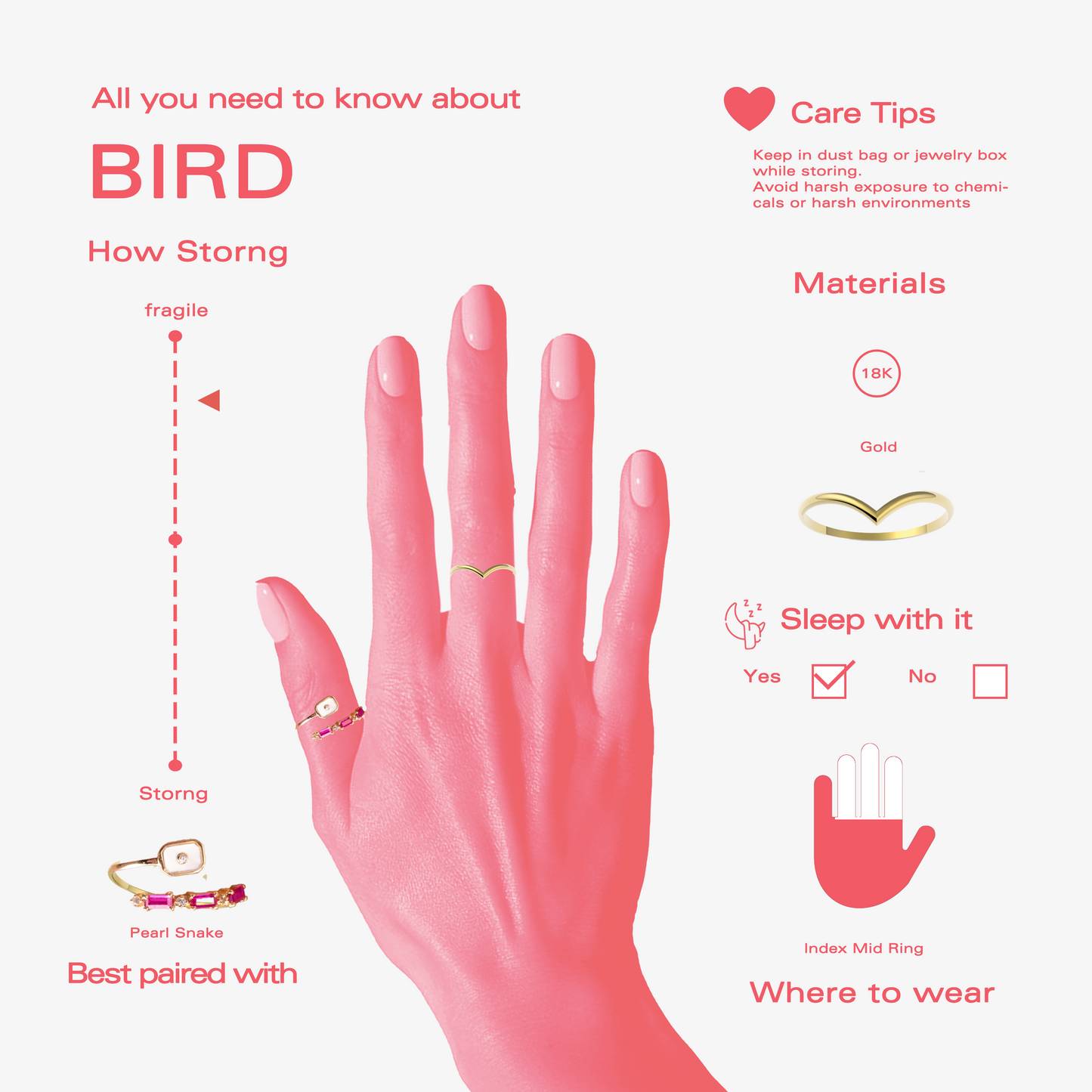 Bird
