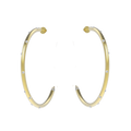 Starlight Hoop